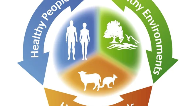 Evaluation de competance formation Site web One Health